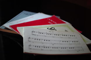 Kaiyun(中国)开云-中小学体育课程内容优化实践，中小学体育课程一体化研究