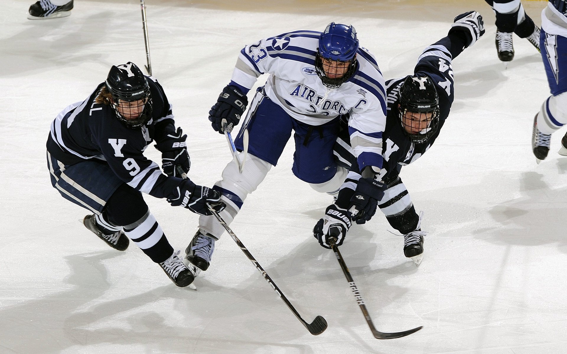“萨尔·巴赫的背后故事：从草根到南非橄榄球明星”